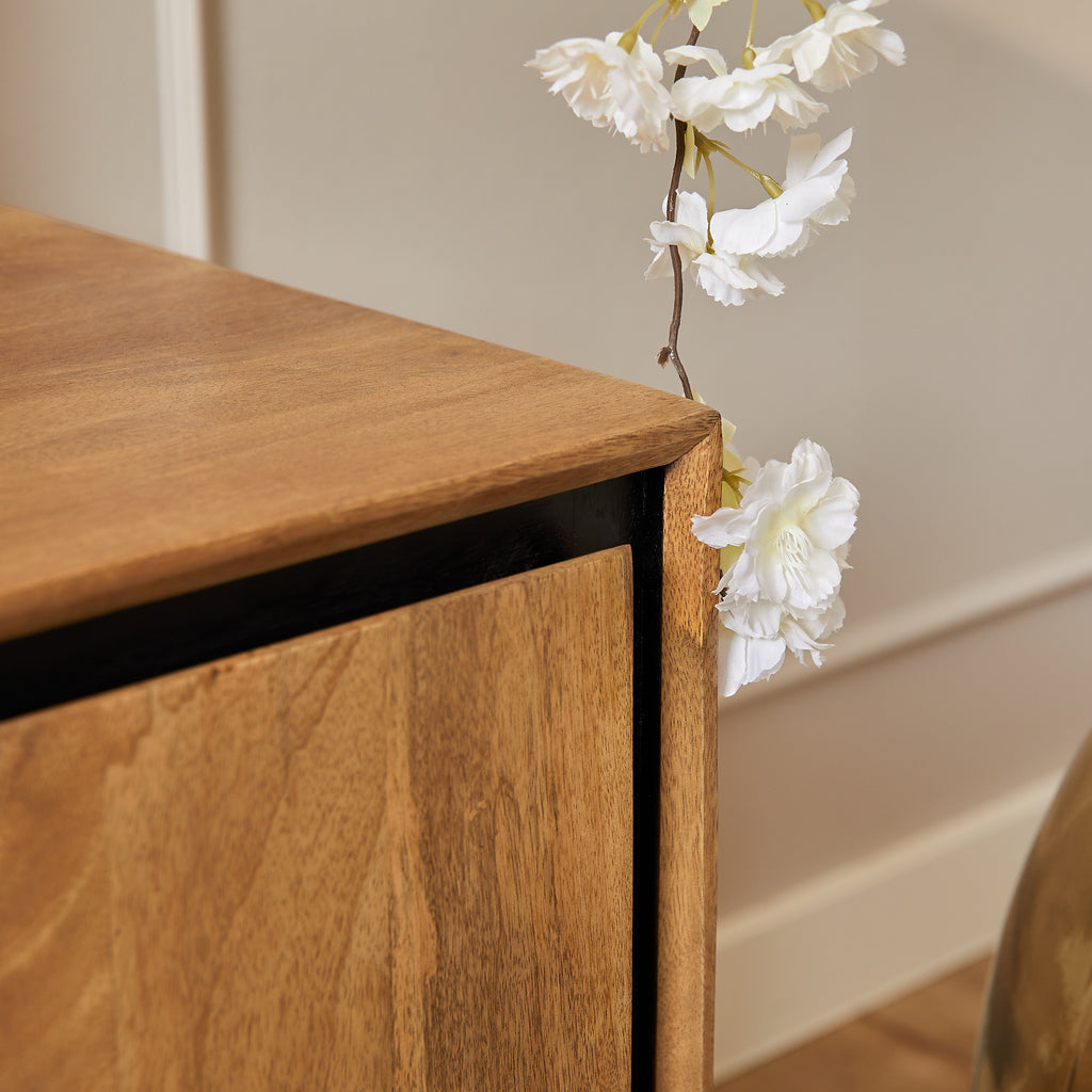 TV-Schrank RichWood | 120 cm