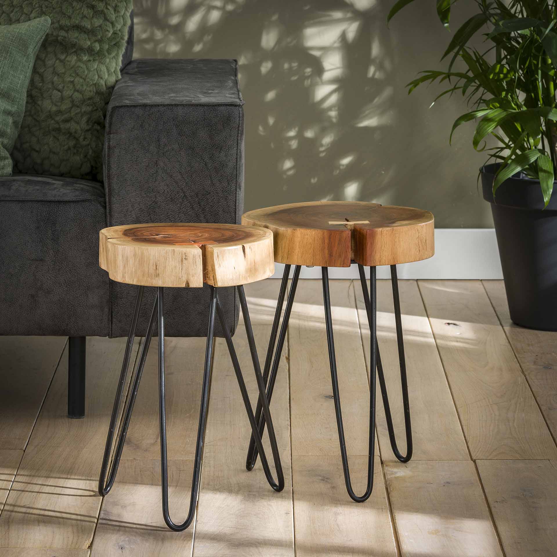 Beistelltisch Albero Ø32 cm – Akazienholz-Baumscheibe mit Stahlgestell, 45 cm hoch