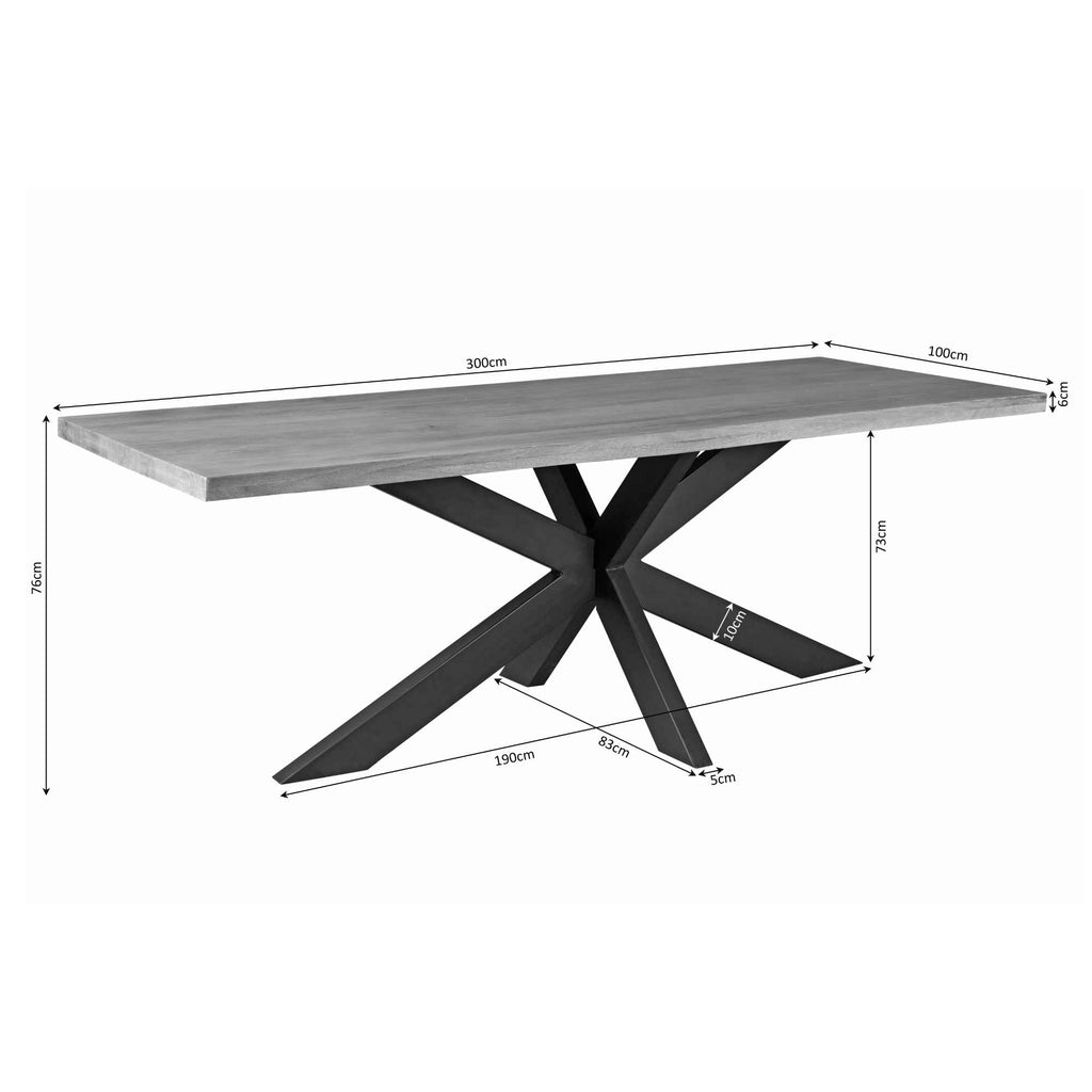Esstisch Delta Natur – Rechteckiger Tisch aus Mangoholz mit Klarlack & Metall-Matrixgestell, 300 x 100 x 76 cm
