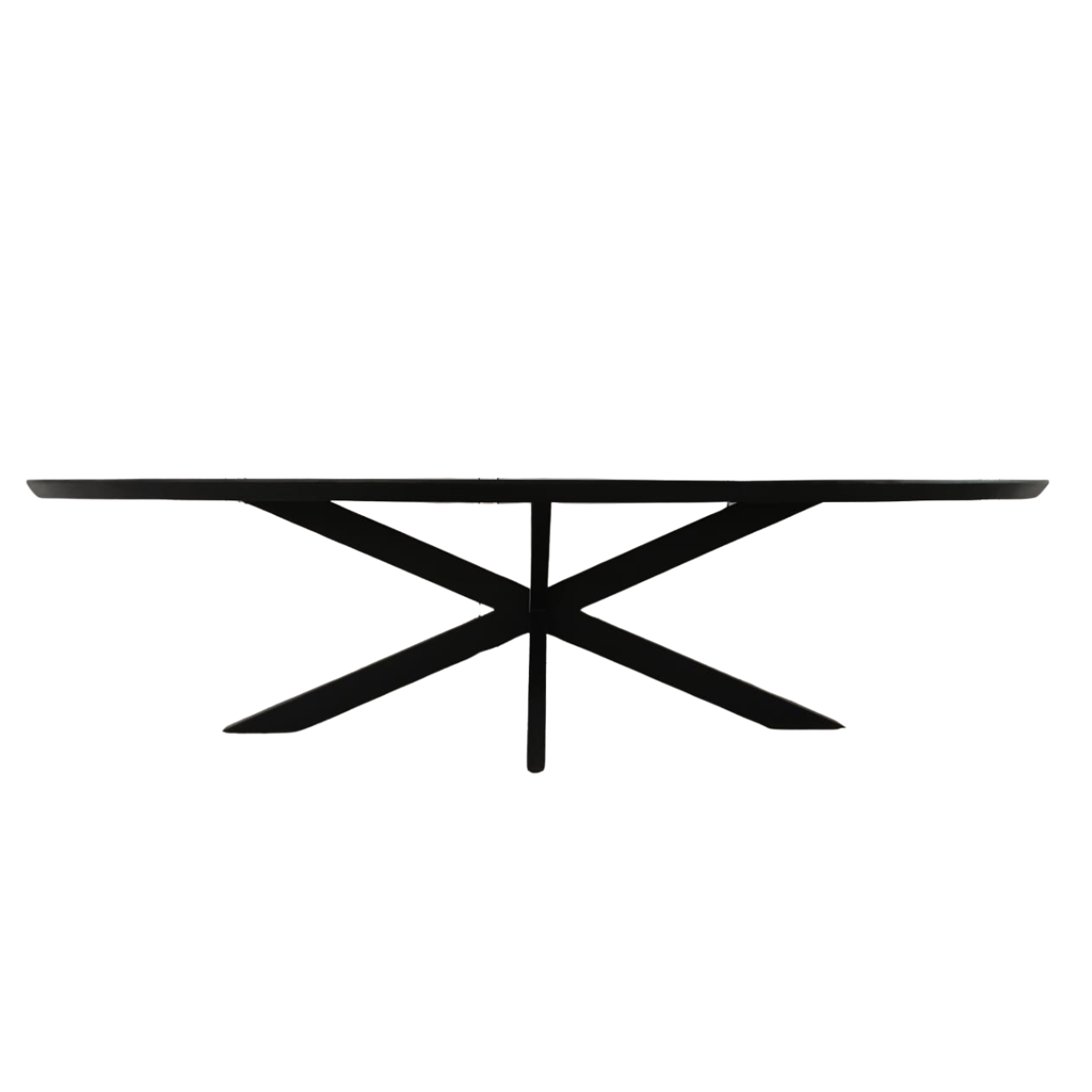 Esstisch Jacky Oval Schwarz – Massivholztisch aus Mangoholz mit schwarzem Metallgestell, 160 x 90 x 76 cm, 6 cm Platte