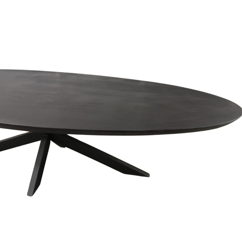 Esstisch Jacky Oval Schwarz – Massivholztisch aus Mangoholz mit schwarzem Metallgestell, 160 x 90 x 76 cm, 6 cm Platte