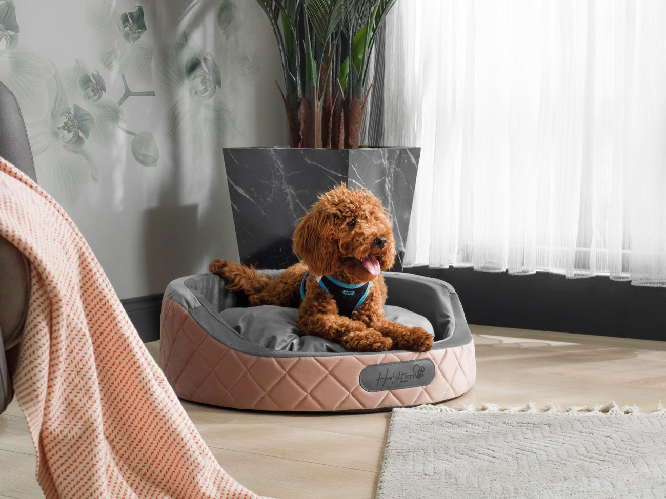 Hundebett