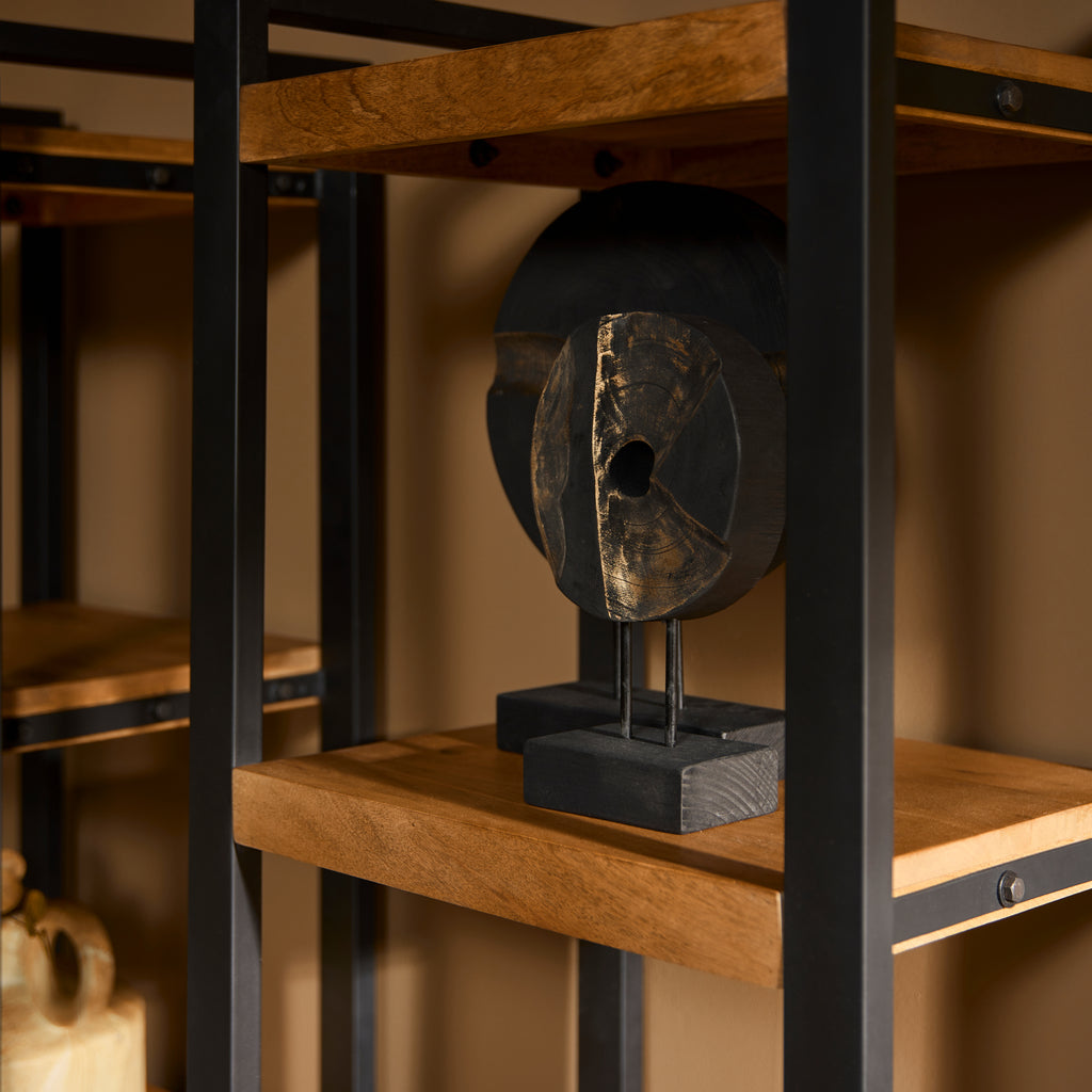 Bücherregal Bori 55x40x200 cm – Massiver Mangoholz Schrank mit Metallrahmen & Tür im modernen Design