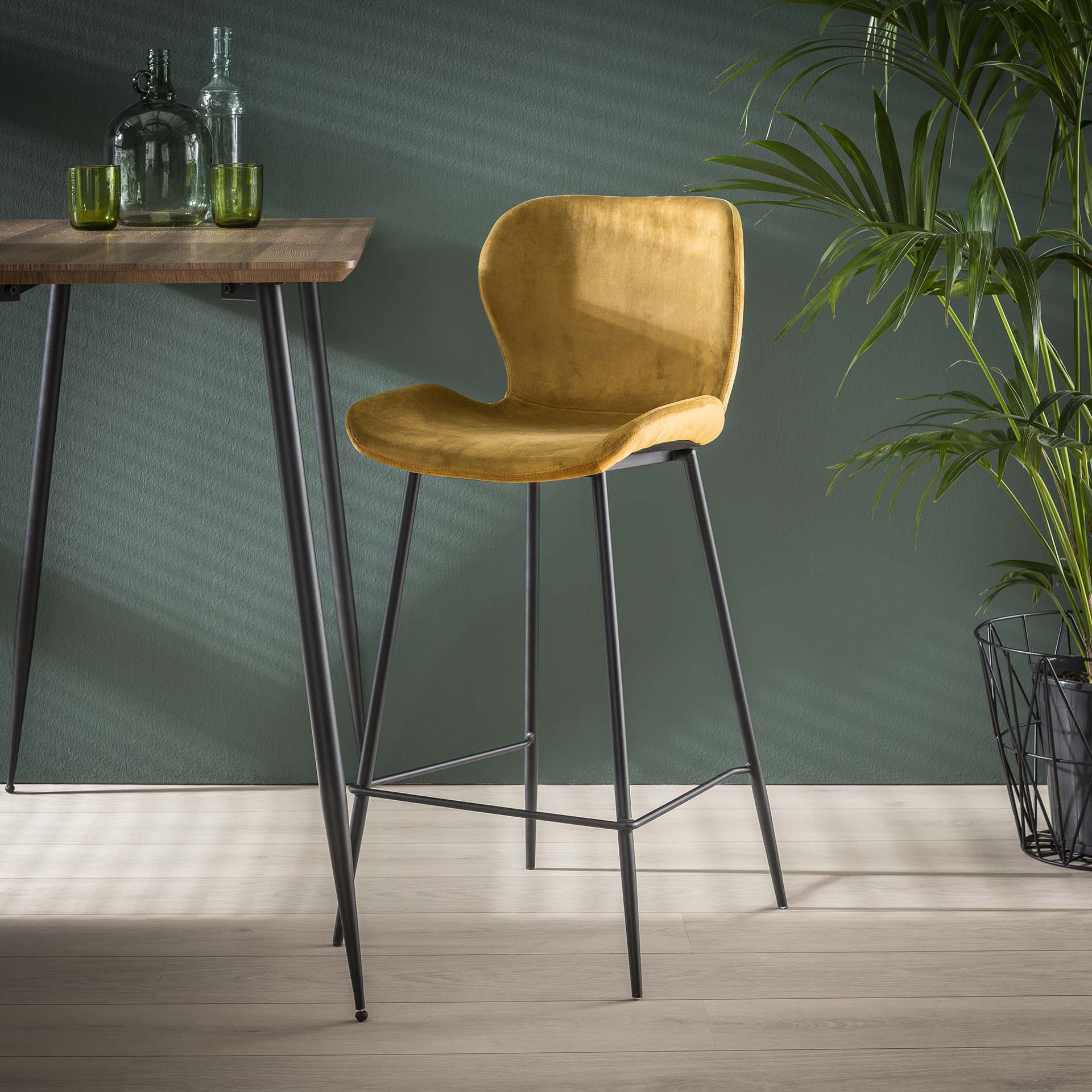 Stuhl – Alva Origin – Golden velvet