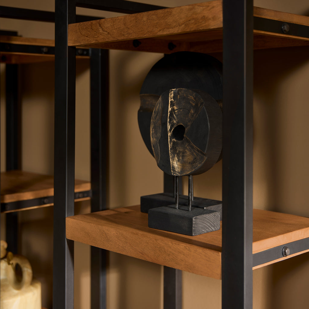 Bücherregal Bori 55x40x200 cm – Massiver Mangoholz Schrank mit Metallrahmen & Tür im modernen Design